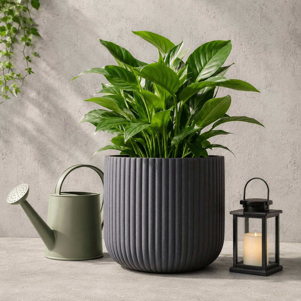 Free Garden & Outdoor product category image for eCommerce